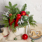 Композиция с нобилисом «Морозко»