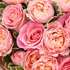 Дуобукет из роз «Сахарный нектарин»