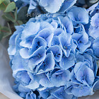 Букет голубых гортензий «Лагуна»
