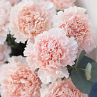 Букет «Ажур»