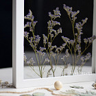 Ботаническая картина «Limonium»