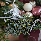 Цветы в шляпной коробке «Розовое шампанское»