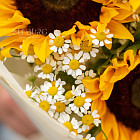 Букет «Солнечные лучи»