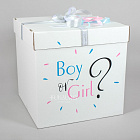 Большая коробка с мини-шариками «Boy or Girl?» (девочка)