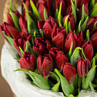 Корзина красных тюльпанов «Клубничное варенье»