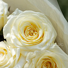 Монобукет из роз Candlelight S