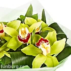 Букет орхидей «Изумрудный»