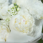 Букет из маттиолы «Воздушное суфле»