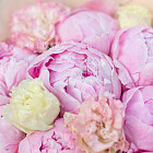 Букет из пионов и эустом «Баблгам»