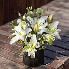 Композиция «Белые ночи» Limited Edition