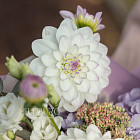 Букет «Нежность рассветов»