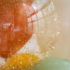 Связка воздушных шаров «Lemonade»