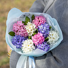 Букет из гиацинтов «Очарование весны»