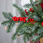 Корзина «Сочельник»