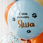 Набор: связка и цифра 6 «Собачка»