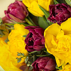 Букет тюльпанов «Фруктовый лед»