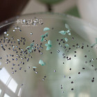 Большой стеклянный шар «Дымчатый кварц» 24″