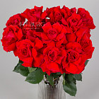 Красные розы Nina