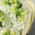 Монобукет из белого антирринума