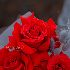 Букет из французских красных роз Nina