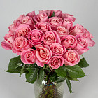 Розовые розы Hermosa