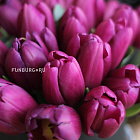 Тюльпаны в шляпной коробке «Пурпур»