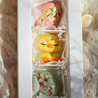 Шоколад ручной работы «Цыплёнок» (5 конфет)