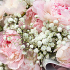 Букет пионов «Розали»