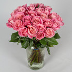 Розовые розы Hermosa