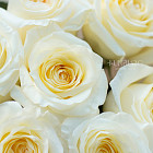 Монобукет из роз Candlelight XS