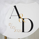 Арка-фотозона с шариками «Champagne»