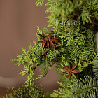 Корзина «Кедровый лес»