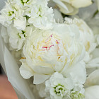 Букет из маттиолы «Воздушное суфле»