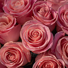 Монобукет из роз Hermosa S