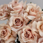 Французские розы Quicksand