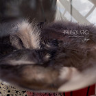 Большой стеклянный шар «Черешня» 24″