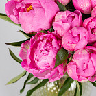 Ярко-розовые пионы