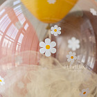 Набор: связка и цифра 5 «Лошадка»