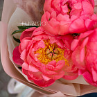 Букет пионов «Земляничный поцелуй»