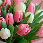 Букет бело-розовых тюльпанов S
