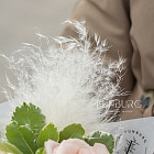 Букет «Миндальное молоко»