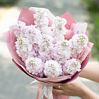 Букет из маттиолы «Сладкая вата»