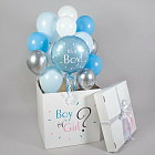 Большая коробка с мини-шариками «Boy or Girl?»
