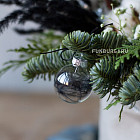 Цветы в декоративном мешке «Аляска»