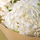 Букет «Яблочный шорли»