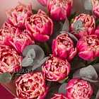 Букет тюльпанов «Малиновый пунш»