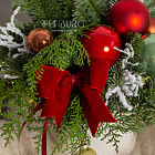 Композиция с нобилисом «Морозко»