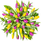 Букет тюльпанов «Флирт»