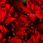 Букет из роз Nina «Симфония чувств»