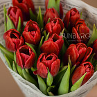 Букет красных тюльпанов S